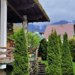 Гостиница Рай-Ski-Домик Красная Поляна-42