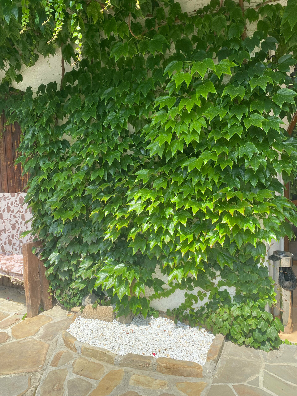 Гостиница Рай-Ski-Домик Красная Поляна-193