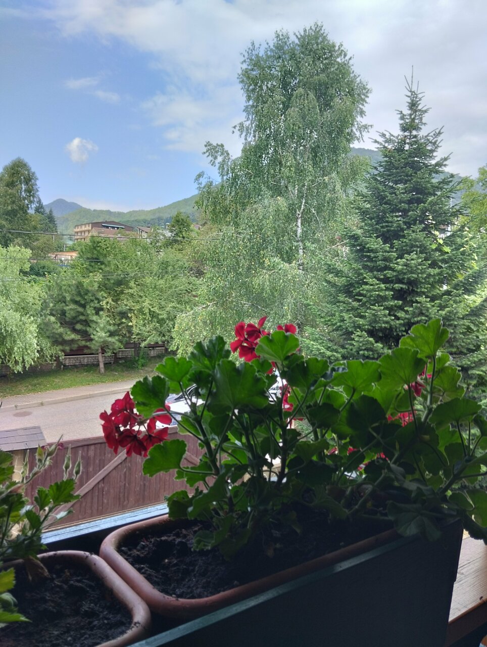 Гостиница Рай-Ski-Домик Красная Поляна-206