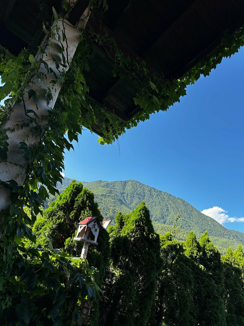 Гостиница Рай-Ski-Домик Красная Поляна-211