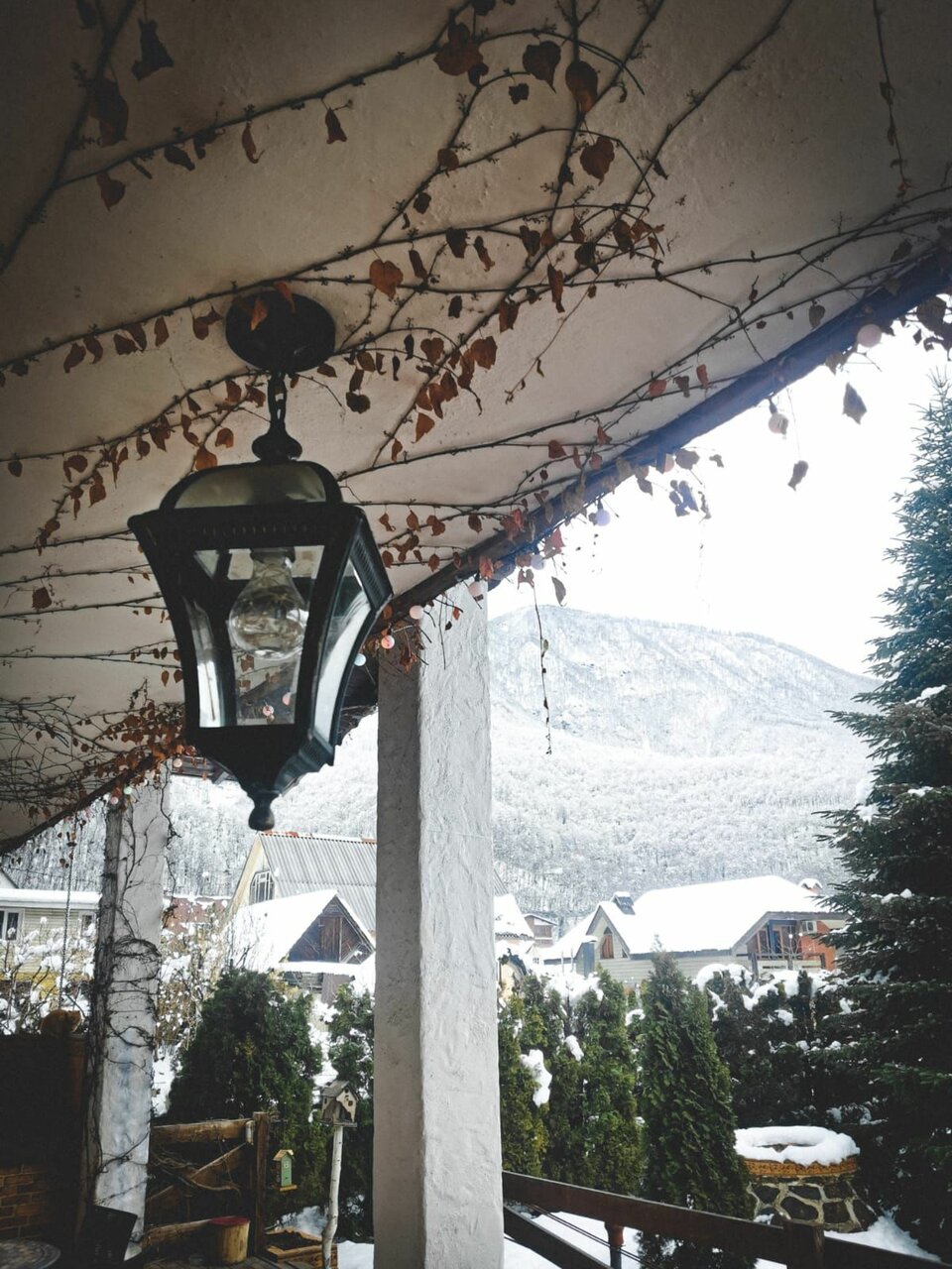 Гостиница Рай-Ski-Домик Красная Поляна-202