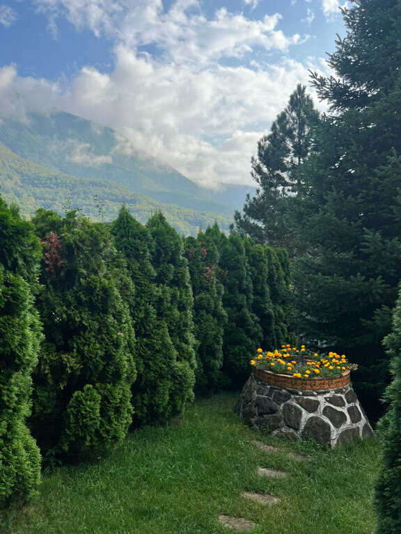 Гостиница Рай-Ski-Домик Красная Поляна-225