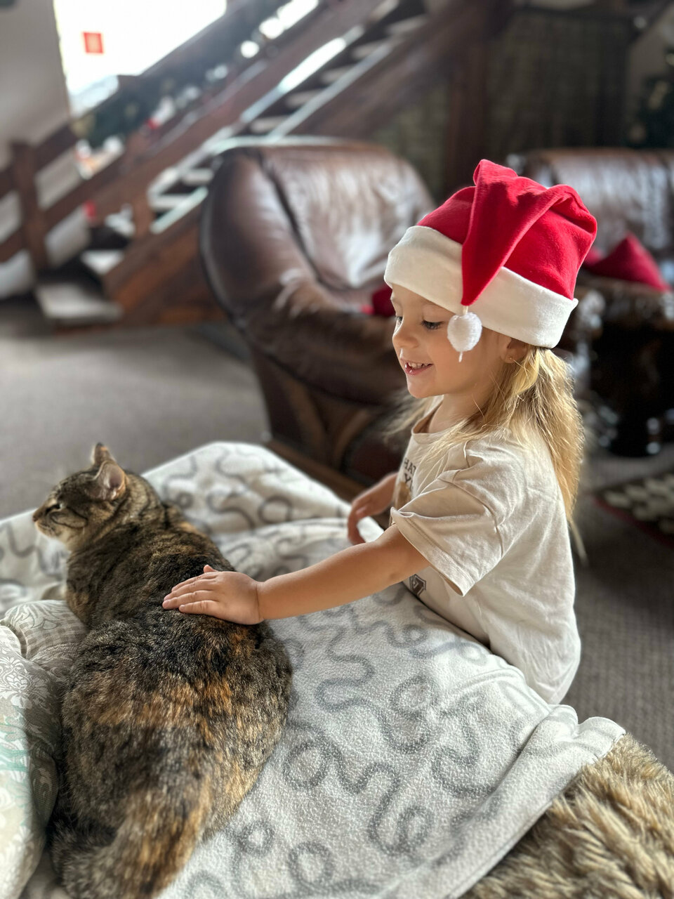 Гостиница Рай-Ski-Домик Красная Поляна-165