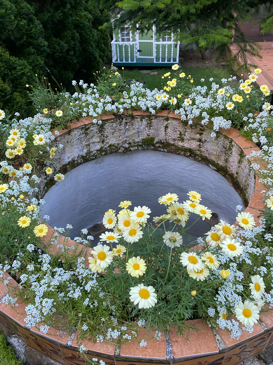 Гостиница Рай-Ski-Домик Красная Поляна-157