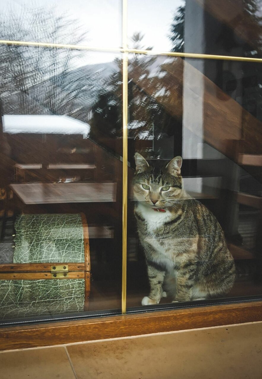 Гостиница Рай-Ski-Домик Красная Поляна-227