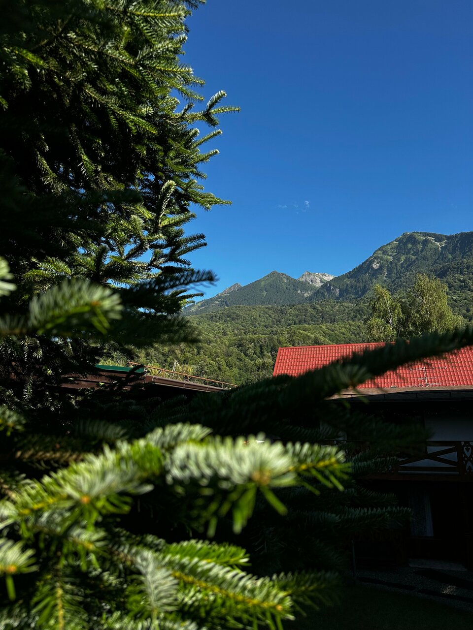 Гостиница Рай-Ski-Домик Красная Поляна-242